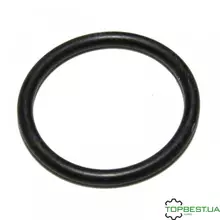 0002118820 Кільце гумове [ Agri parts ]