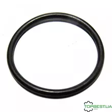 0002120310 Кільце гумове [ Agri parts ]