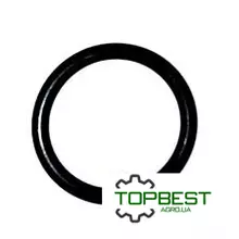 0002393770 Кільце гумове [ Agri parts ]
