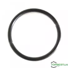 212031.0 Кільце ущільнююче г/ц 44.04х3.53 (Original) Claas