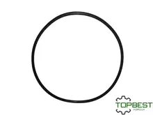 213738.0 Кільце ущільнююче 105х3-N (Original) Claas