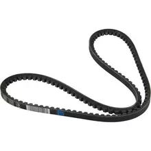 3648900M1 Ремінь Harvest Belts