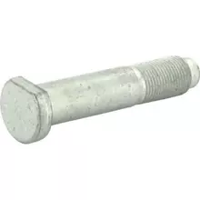 723960 Болт Berthoud