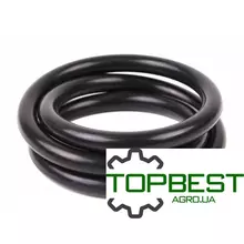 1701153M1 Кільце привідного моста комбайна Massey Ferguson 1701153M1 Кільце привідного моста комбайна Massey Ferguson