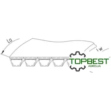 80699268 Ремінь багатоклиновий 0357262 [Gates Agri]