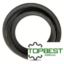 H201821 Ремінь багатоклиновий 2Hс81 [Carlisle]