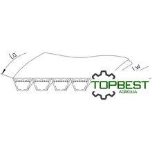 80750166 Ремінь багатоклиновий AP1001242 [Optibelt ]