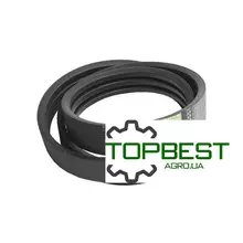 619090 Ремінь багатоклиновий AP1001898 [Optibelt ]