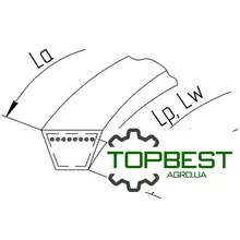 [commerce_product_variation:title]