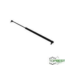 565419.0 Амортизатор дверки кабіни (Original) Claas