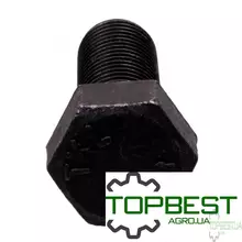 215351 Болт 6-гр. M18x2x45 Claas