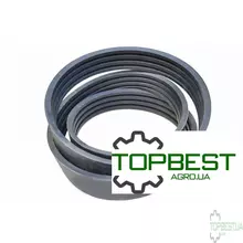 125209 Ремінь багатоклиновий [Gates Agri]