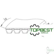 629001 Ремінь багатоклиновий 4RHB62 [Carlisle]