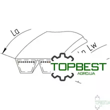 544172 Ремінь багатоклиновий AP1001745 [Optibelt ]