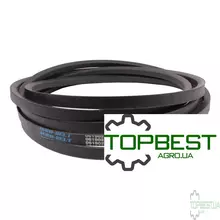 061902 Привідний клиновий ремінь 22x6300 (C248) [Agro-Belt]