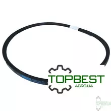 AN274215 Привідний клиновий ремінь B-1313Lw (B050) [Roulunds]