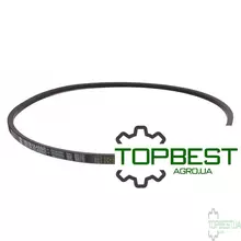 538714.0 Привідний клиновий ремінь B-1595 (B061) [Gates]