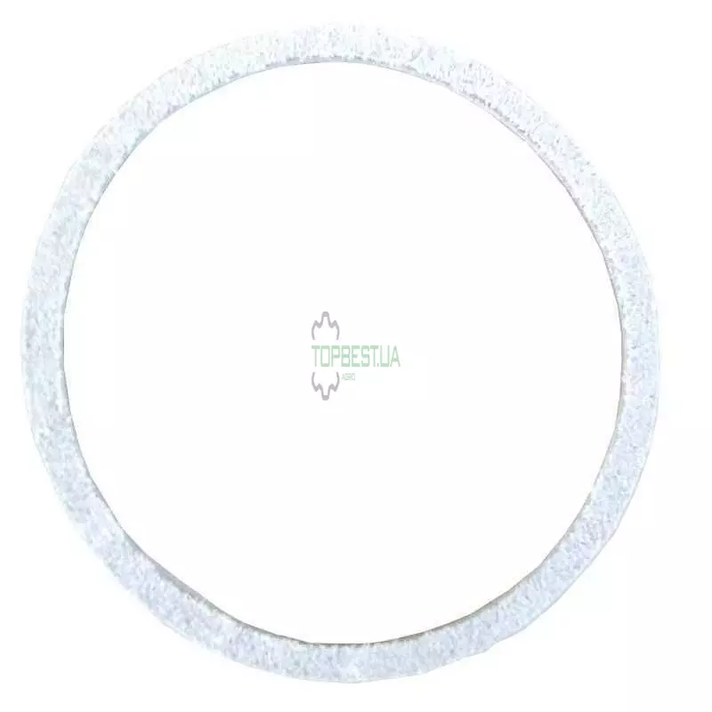 0002391100 Кільце заднього ходу [Claas Original]