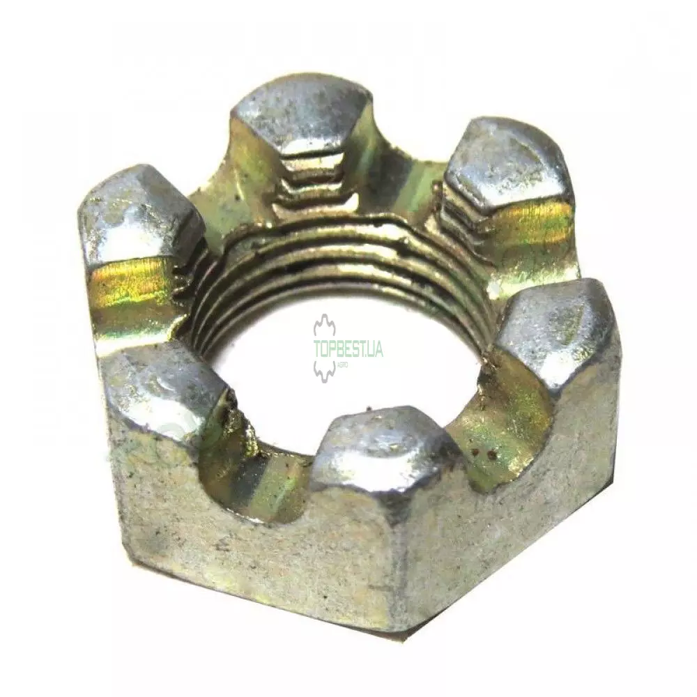 0002444550 Гайка корончата [Claas Original]