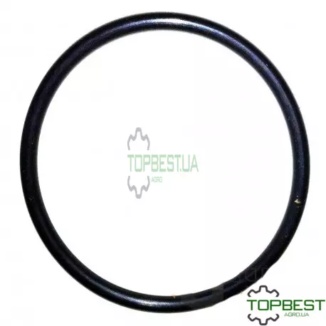 0007123231 Кільце гумове [ Agri parts ]