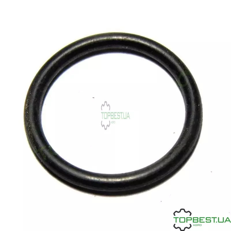 211691.0 Кільце ущільнююче 15.6х1.78-N Claas