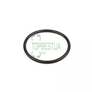 2418F001 Кільце ущільнююче Manitou