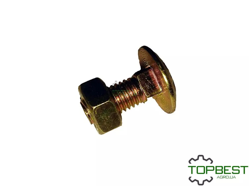 502511.0 Болт м10х25-F=3 напівпотайний з гайкою Claas
