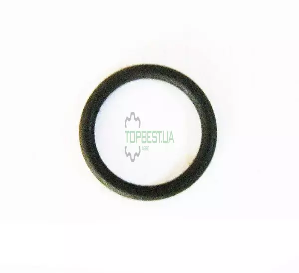 6005019258 Кільце ущільнювальне [Claas Original]