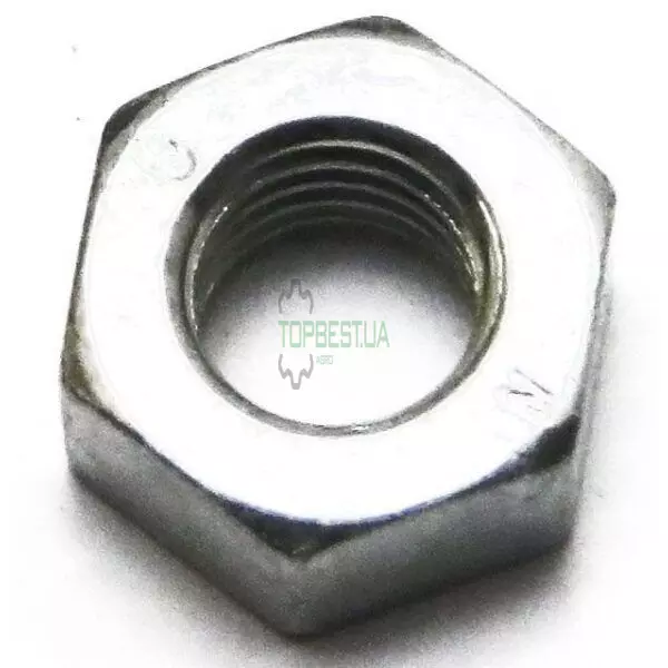 6005024647 Гайка [Claas Original]