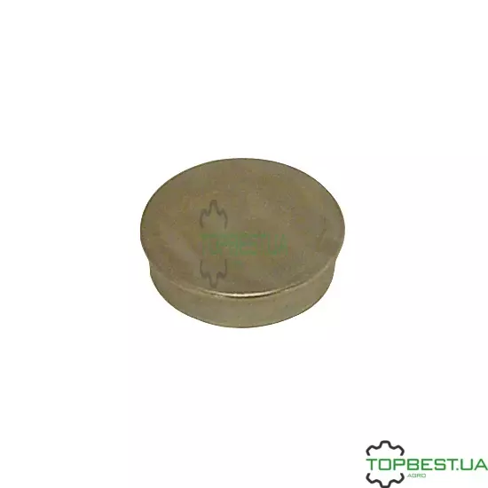B29400 Ковпачок маточини металевий [ Parts Express ]
