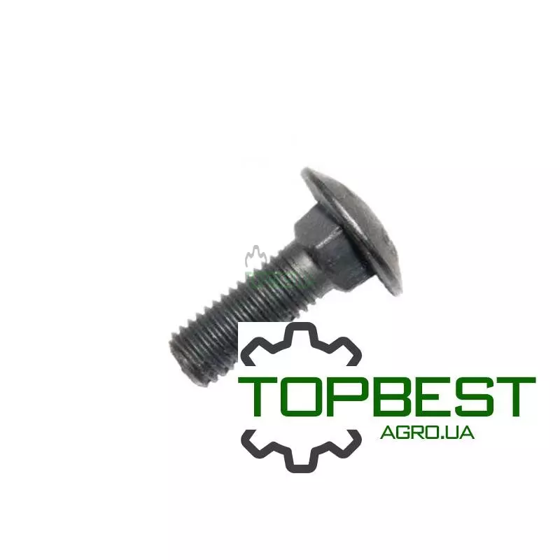 522178 Болт напівпотайний M10x30 Claas