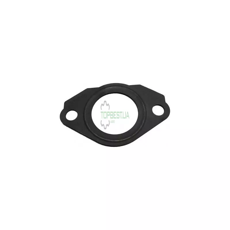 R519361 Прокладка колектора FP Disel / R534605