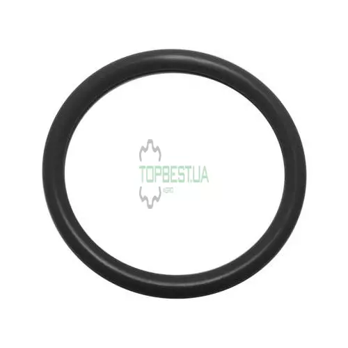 T122075 Кільце ущільнююче FP Disel