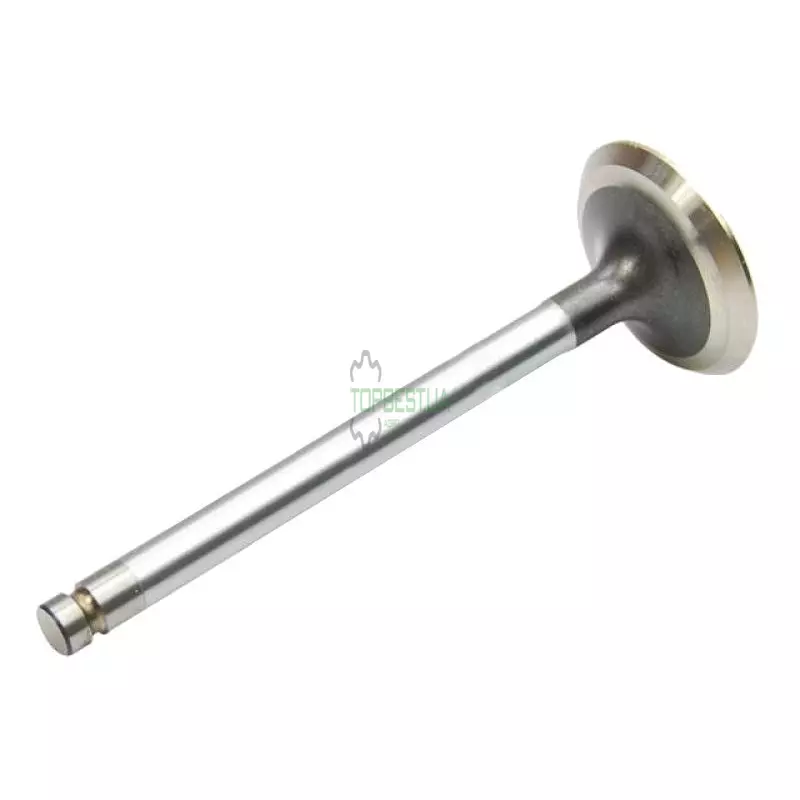 736812M1 Клапан впускний двигуна - Massey Ferguson