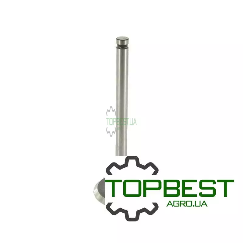 736812M1 Клапан впускний двигуна - Massey Ferguson