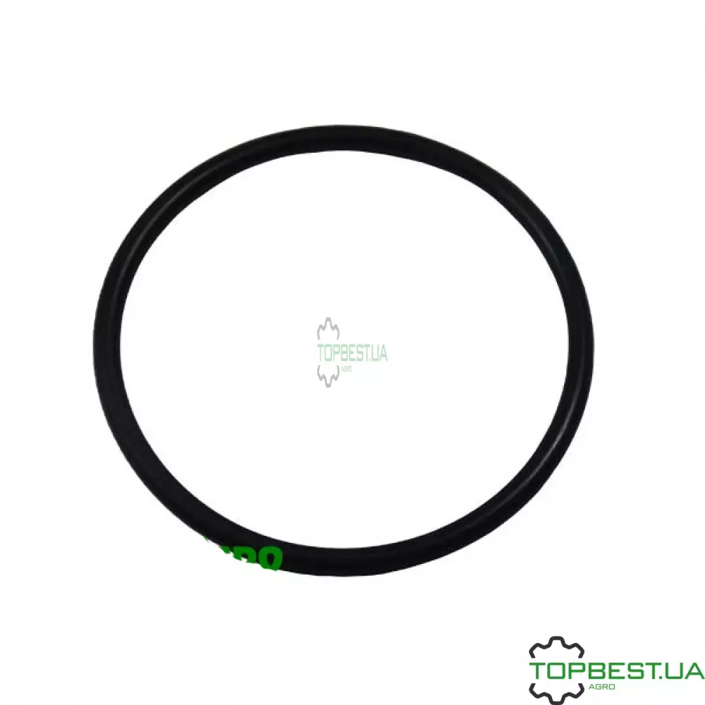 N208245 Кільце (5HG696254) John Deere
