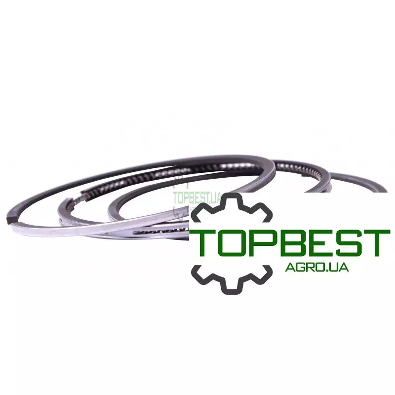 3139594R91 Кільця поршневі двигуна Case-IH (3 кільця) [Bepco]