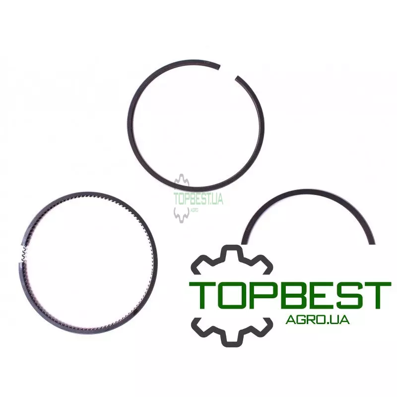 3139594R91 Кільця поршневі двигуна Case-IH (3 кільця) [Bepco]