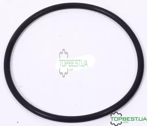 R516125 Кільце ущільнююче паливного насоса John Deere
