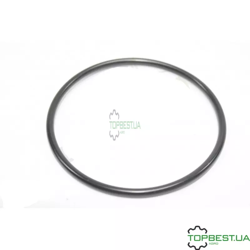 R95494 Кільце ущільнююче John Deere