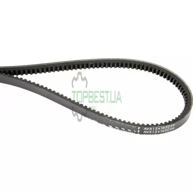 80393519 Клиновий зубчатий ремінь аVX13-1625 [Contitech]