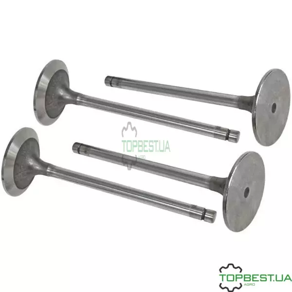 VPA1022 Клапан впускний (R504060) John Deere