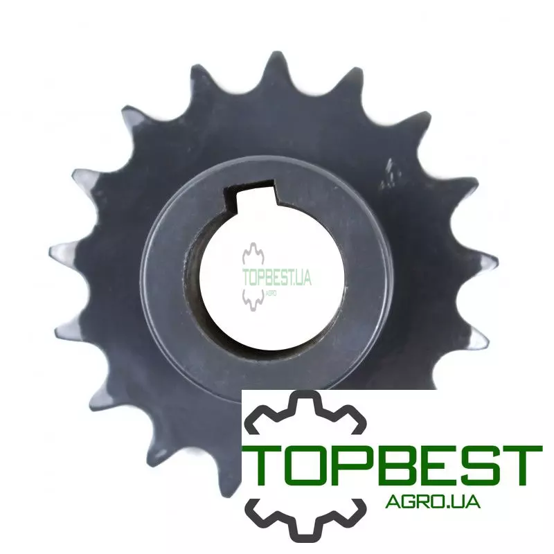 605484 Зірочка привода шнека елеватора Claas, Z17