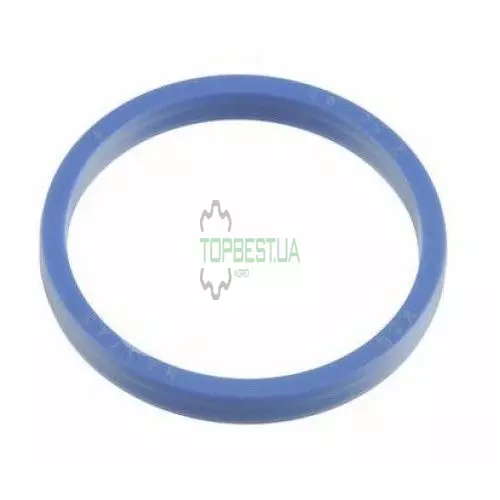 0002181150 Подвійний ущільнювач [Claas Original]