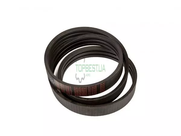 0005540981 Ремінь [Claas Original]