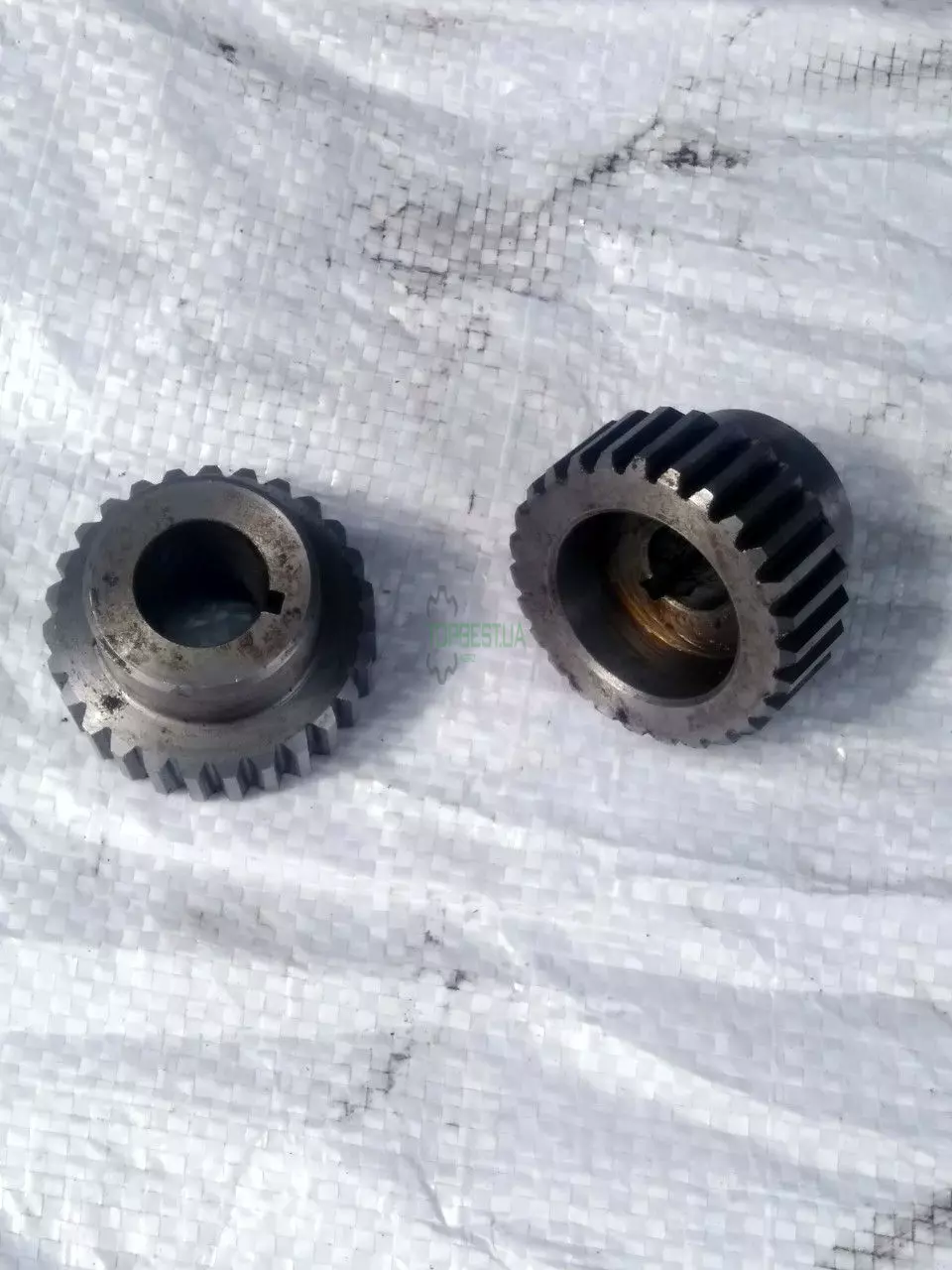 0006690951 Шестірня [Claas Original]