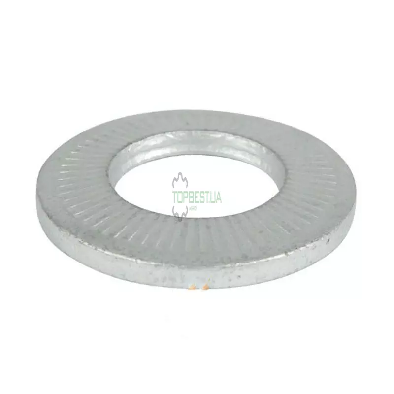 0011056590 Підкладна шайба [Claas Original]