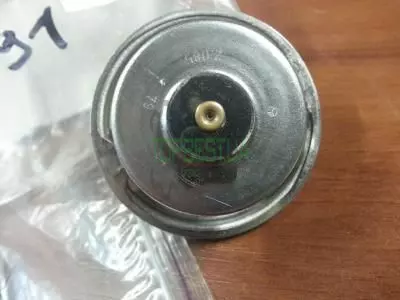 0011590340 Термостат [Claas Original]