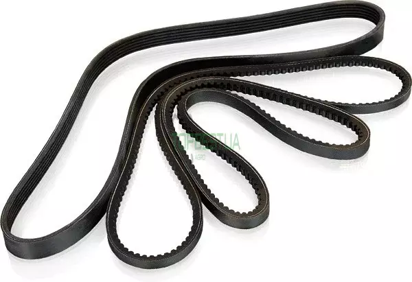 01113550 Ремінь Harvest Belts