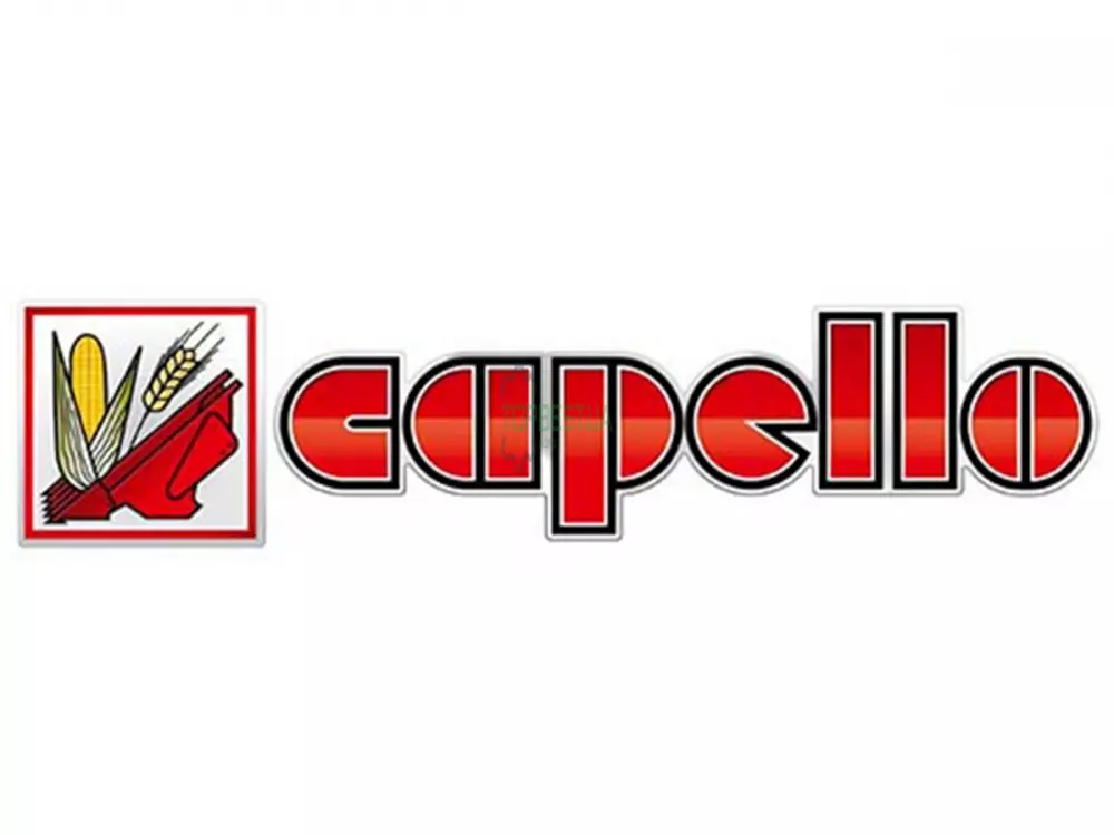 4502700 Шайба регулювальна Capello